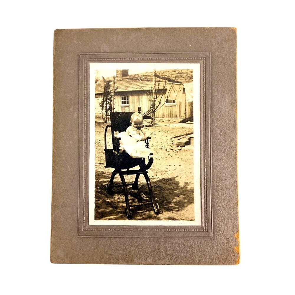 Antique CDV Photo Baby In Stroller Rustic Rural Farm Scene Horse Laundry 1870s